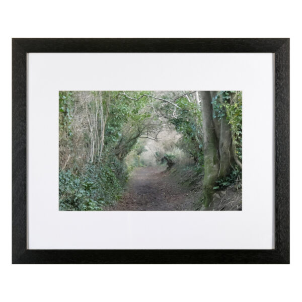 country lane LB